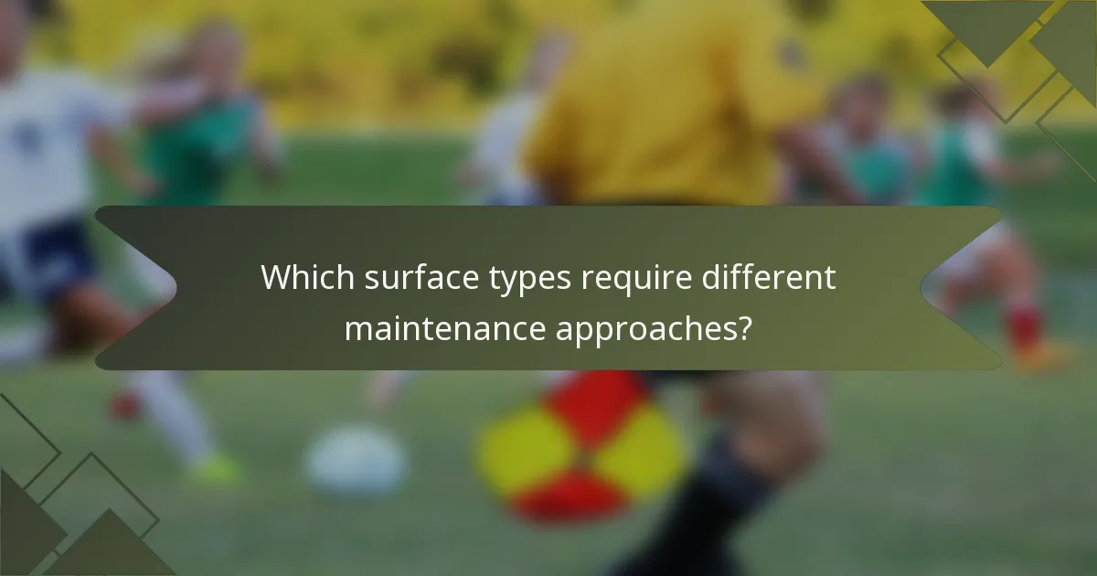 Which surface types require different maintenance approaches?